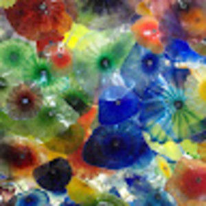 Meet your Posher, Ben